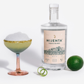 Mijenta Blanco 40% (1499)